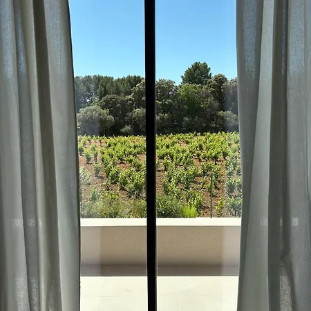 1 Terrasse Apercu Vignes Appartement