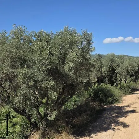 1 Terrasse Apercu Vignes Apartamento *